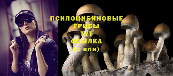 спиды Киренск