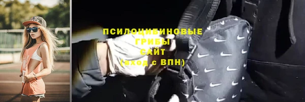 крисы Каменногорск