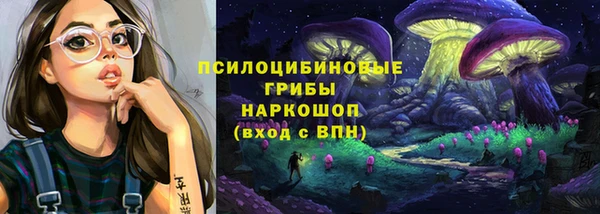 эйфоретик Касимов